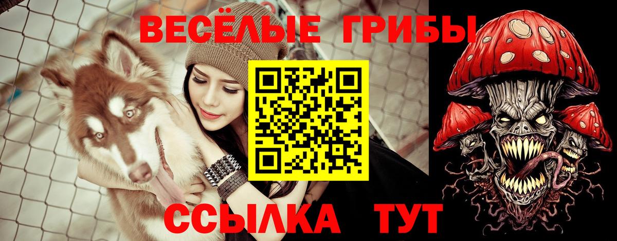 Галлюциногенные грибы ЛСД Бугуруслан