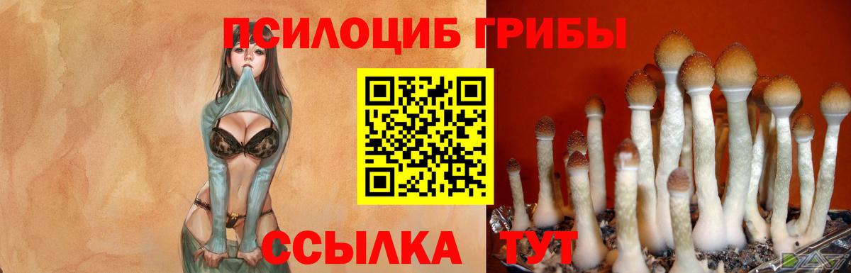 Галлюциногенные грибы прущие грибы  Псилоцибиновые грибы мицелий  Бугуруслан  Вход с VPN 